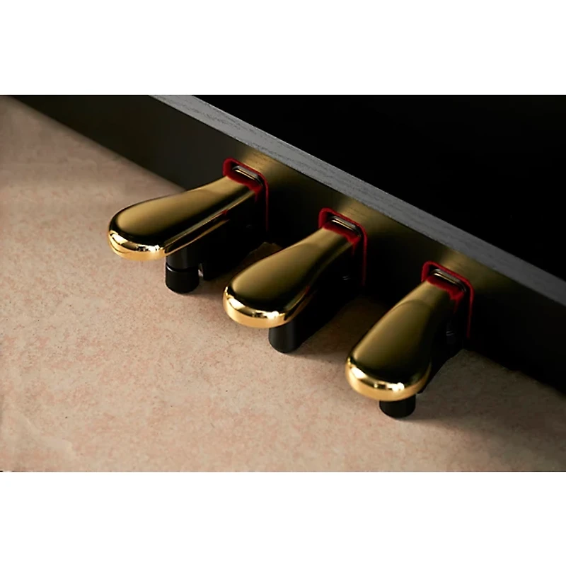 Casio Celviano AP-750BK Console Digital Piano Black