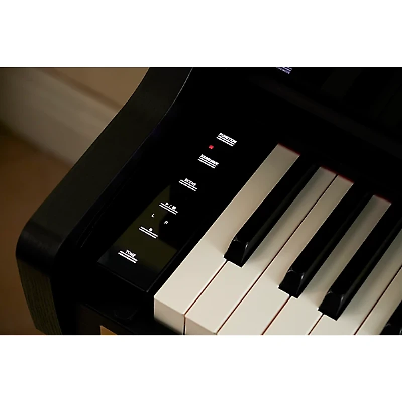 Casio Celviano AP-750BK Console Digital Piano Black