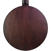 Deering Artisan Goodtime Six-R 6-String Acoustic-Electric Resonator Banjo