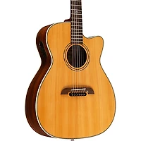 Alvarez Yairi WY1 Cutaway Folk-OM Acoustic-Electric Guitar