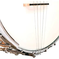 Gold Tone MM-150LN Maple Mountain Long Neck Open-Back Banjo Natural