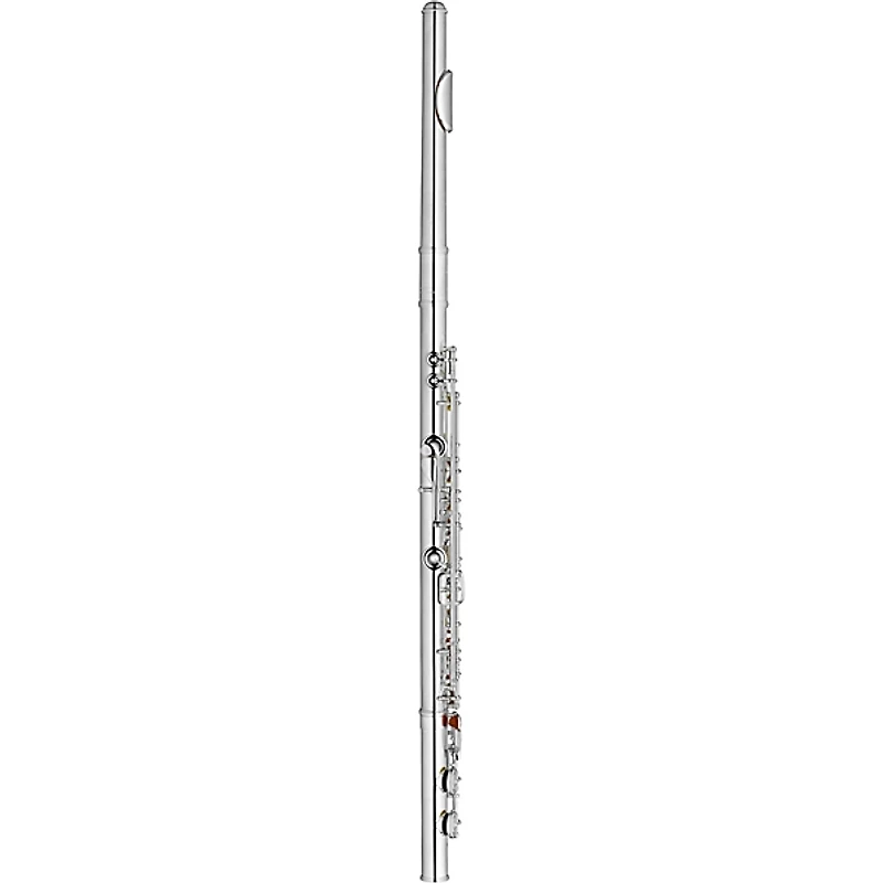 Wm. S Haynes Amadeus Student Flute: silver-plated headjoint, body, and mechanism, plateau keys, French pointed arms, offset G, C foot Offset G C-Foot