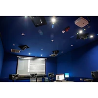 Neumann KH 810 10" Powered Studio Subwoofer (Each)