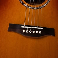 Seagull Entourage Concert Hall Acoustic-Electric Guitar Rustic Burst