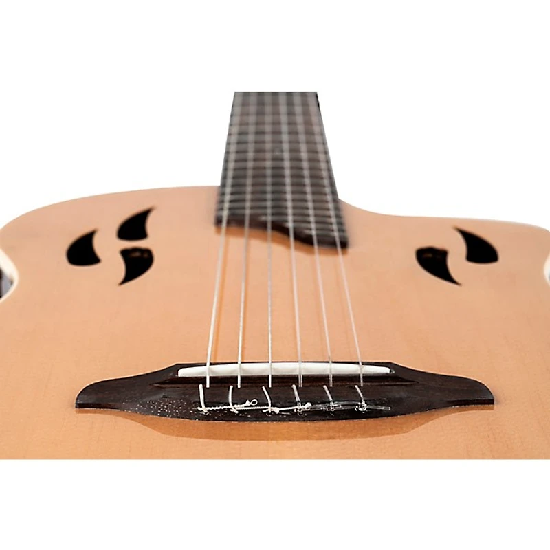 Ortega RTPSTD Nylon-String Acoustic-Electric Guitar