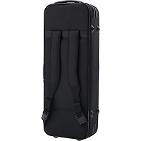 Backun Backun Alpha Low C Synthetic Bass Clarinet with Nickel Plated Keys, 2-Piece Neck, Backpack Case Nickel Plated Keys