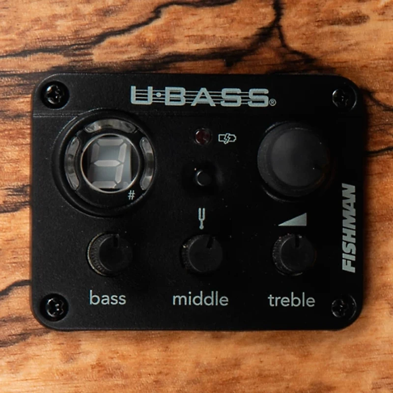 Kala Spalted Mango Acoustic-Electric U-Bass Natural