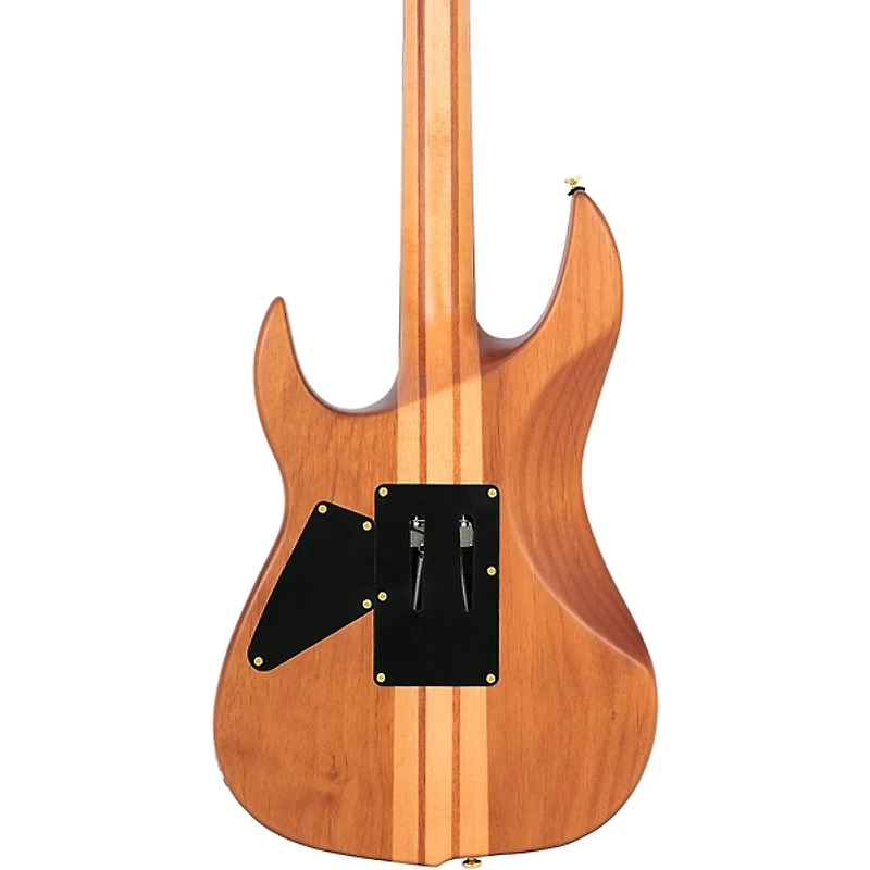 Sire Larry Carlton X10 Electric Guitar
