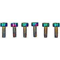 Floyd Rose Stainless Steel Saddle Mounting Screws