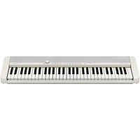 Casio Casiotone CT-S1 61-Key Portable Keyboard Essentials Bundle -