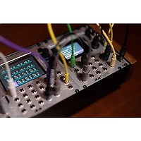 1010music Bitbox mk2 Eurorack Performance Sampler
