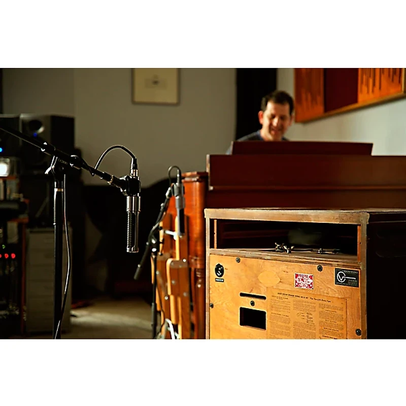 AEA Microphones AEA N13 Phantom-Powered Ribbon Microphone