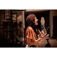 Warm Audio WA-44 Ribbon Microphone With Warm Lifter Active Mic Preamp