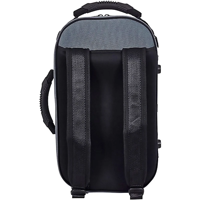Bam Saint Germain Single Cornet Case