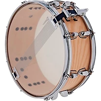 Premier Artist Birch Snare Drum
