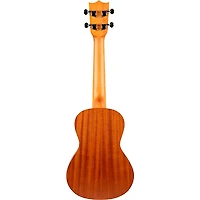 Flight AUC-33 Concert Ukulele Fusion