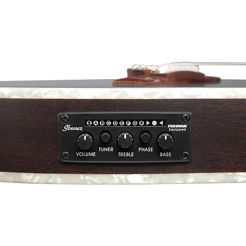 Ibanez TOD10NL Tim Henson Signature Left-Handed Nylon-String Acoustic-Electric Guitar Transparent Black Flat