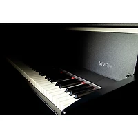 Dexibell VIVO H5 Home Digital Piano