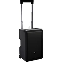 LD Systems ANNY 10 Portable Battery-Powered Speaker With Dual Wireless Handheld Mics B5.1