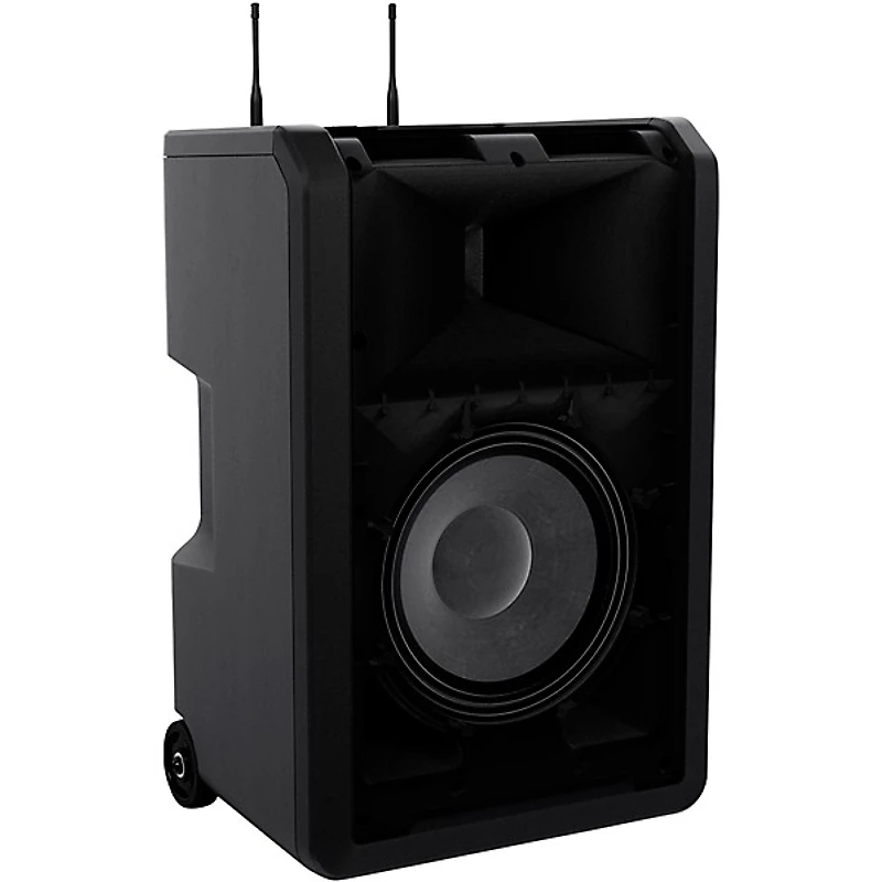 LD Systems ANNY 10 Portable Battery-Powered Speaker With Dual Wireless Handheld Mics B5.1