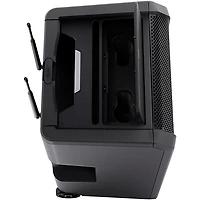 LD Systems ANNY 10 Portable Battery-Powered Speaker With Dual Wireless Handheld Mics B5.1