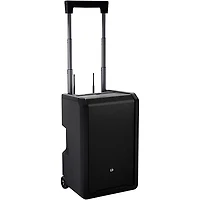 LD Systems ANNY 10 Portable Battery-Powered Speaker With Dual Wireless Headset Mics B5.1