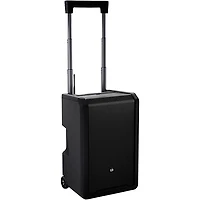 LD Systems ANNY 10 Portable Battery-Powered Speaker With Wireless Headset Mic B4.7
