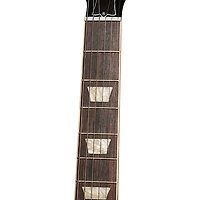 Gibson Warren Haynes Les Paul Standard Electric Guitar 60s Cherry