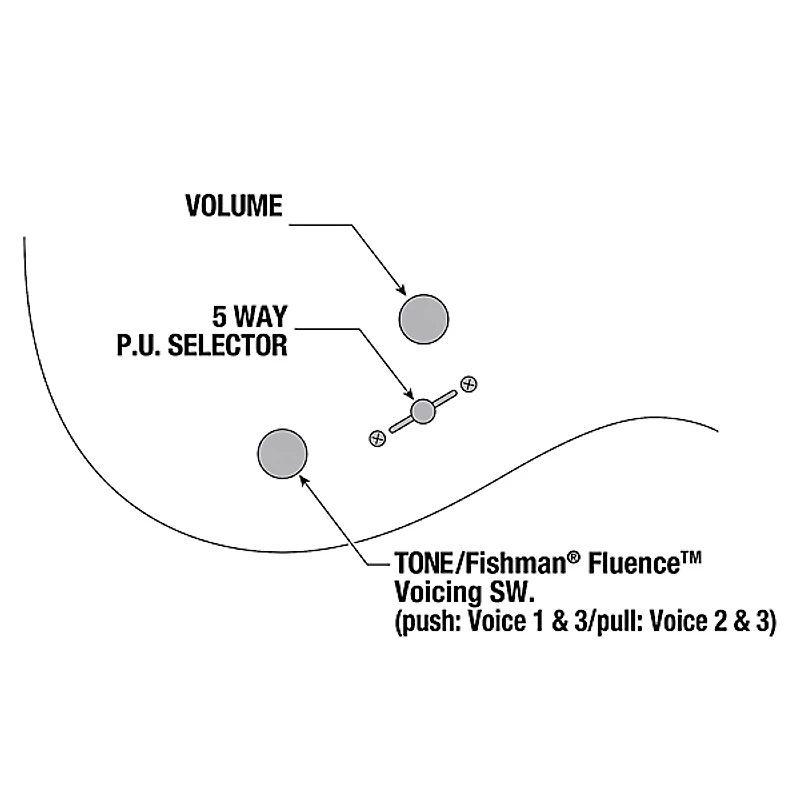 Ibanez Tim Henson Signature 7-String Electric Guitar