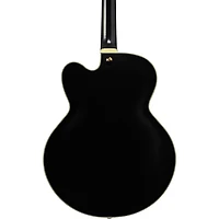 Ibanez Pat Metheny Signature Electric Guitar