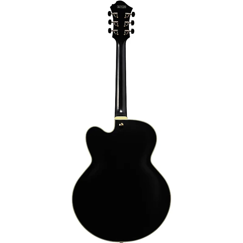 Ibanez Pat Metheny Signature Electric Guitar