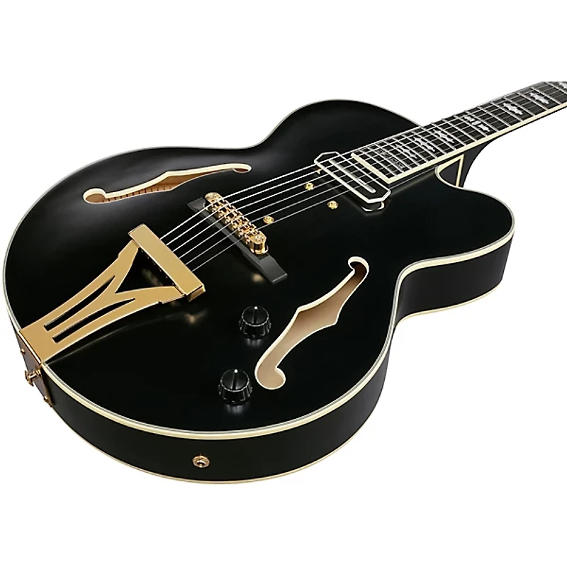 Ibanez Pat Metheny Signature Electric Guitar