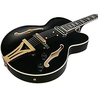 Ibanez Pat Metheny Signature Electric Guitar