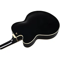 Ibanez Pat Metheny Signature Electric Guitar