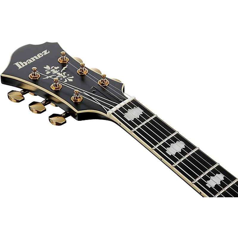 Ibanez Pat Metheny Signature Electric Guitar