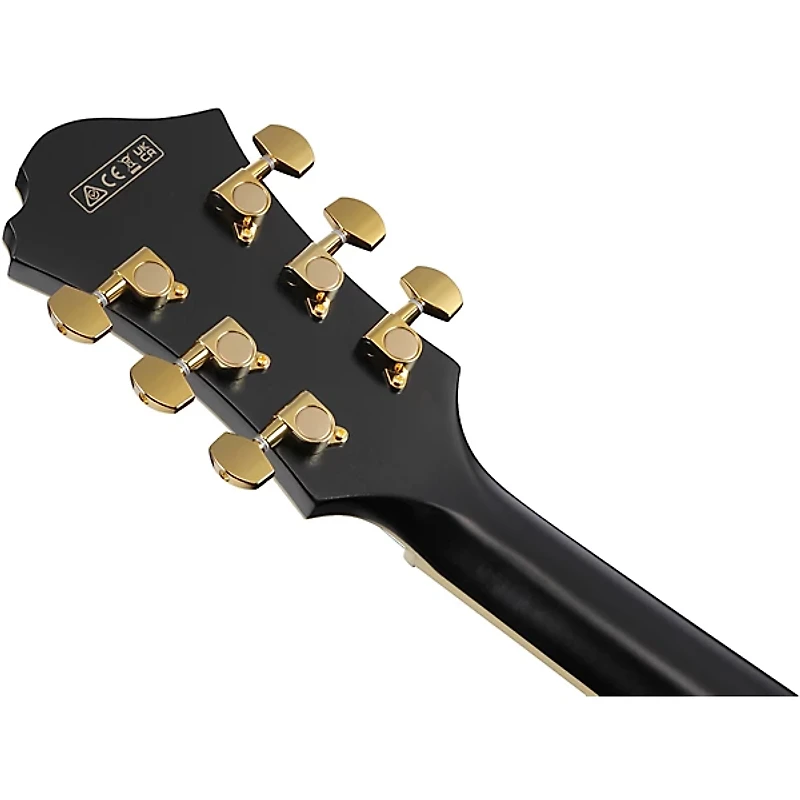 Ibanez Pat Metheny Signature Electric Guitar