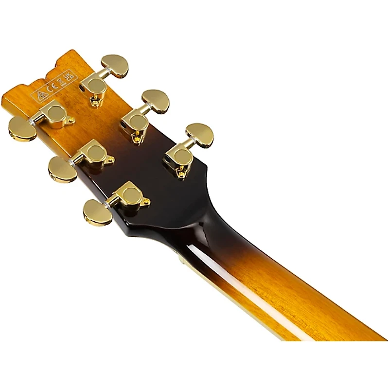 Ibanez John Scofield Signature Electric Guitar Two-tone Burst