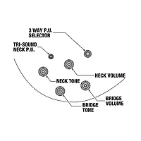 Ibanez John Scofield Signature Electric Guitar Two-tone Burst