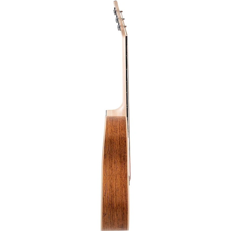 Applause AAS-69 Jump Series Slope Shoulder Dreadnought Acoustic Guitar