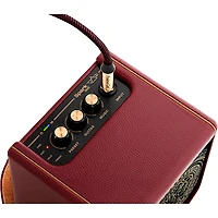 Positive Grid Spark MINI Vai 10W Battery-Powered Stereo Combo Amp - Red