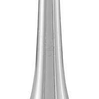 Bach C180SL Stradivarius 229 Bell Philadelphia Series Professional C Trumpet Silver plated