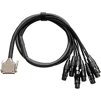 Warm Audio Premier DB25-XLRf Snake Cable 10 ft. Black