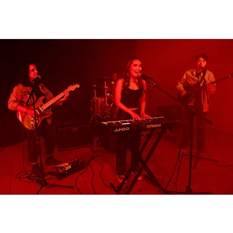 Roland JUNO-D8 Synthesizer