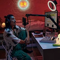 Shure SM4 Dual-Diaphragm Condenser Home Recording Microphone Kit