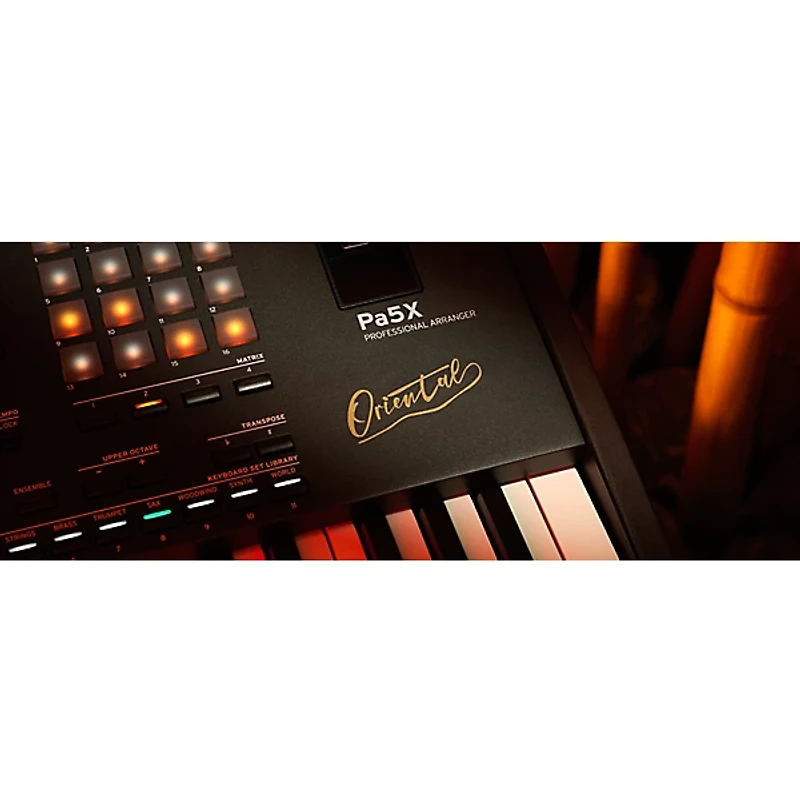 KORG Pa5X Oriental Professional Arranger 76 Key
