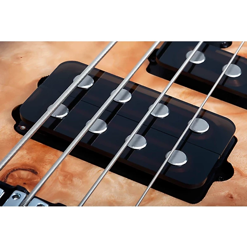 Schecter Guitar Research Reaper-4 Electric Bass Guitar Satin Charcoal Burst