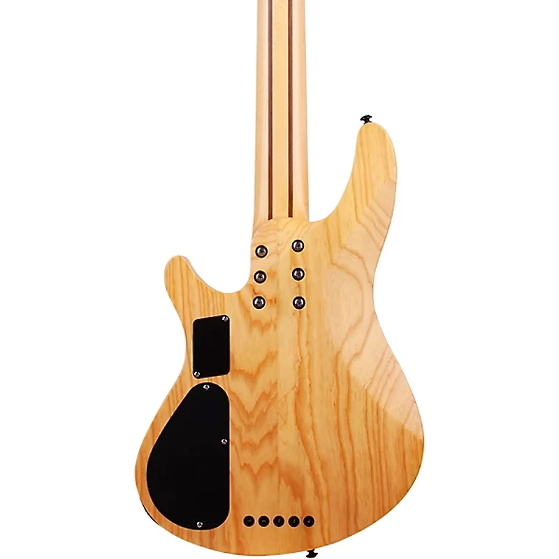 Schecter Guitar Research Reaper-5 5-String Electric Bass Guitar Satin Charcoal Burst