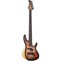 Schecter Guitar Research Reaper-5 5-String Electric Bass Guitar Satin Charcoal Burst