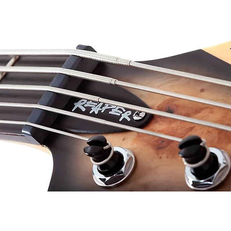 Schecter Guitar Research Reaper-5 5-String Electric Bass Guitar Satin Charcoal Burst