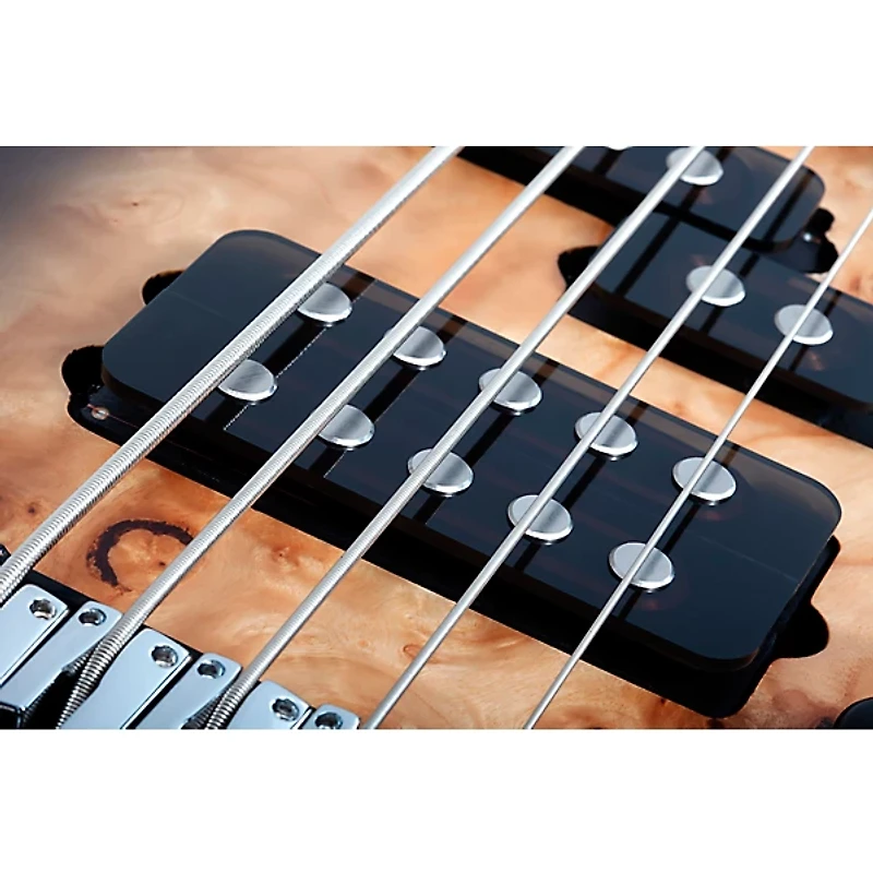 Schecter Guitar Research Reaper-5 5-String Electric Bass Guitar Satin Charcoal Burst